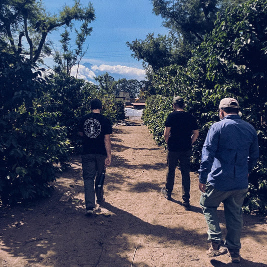 GUATEMALA - ROSARIO STUARDO