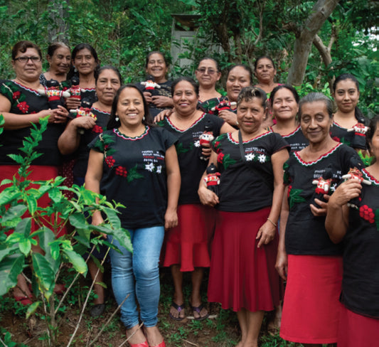 MEXICO CHIAPAS - MAYAN HARVEST WOMEN’S GROUP