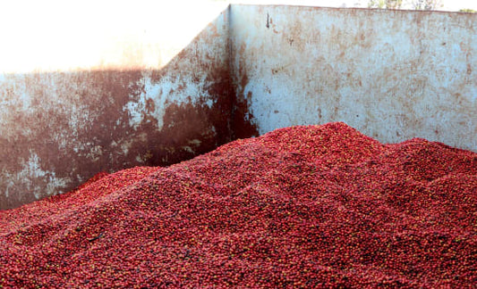 KENYA NYERI - UTEUZI JIMBO AA