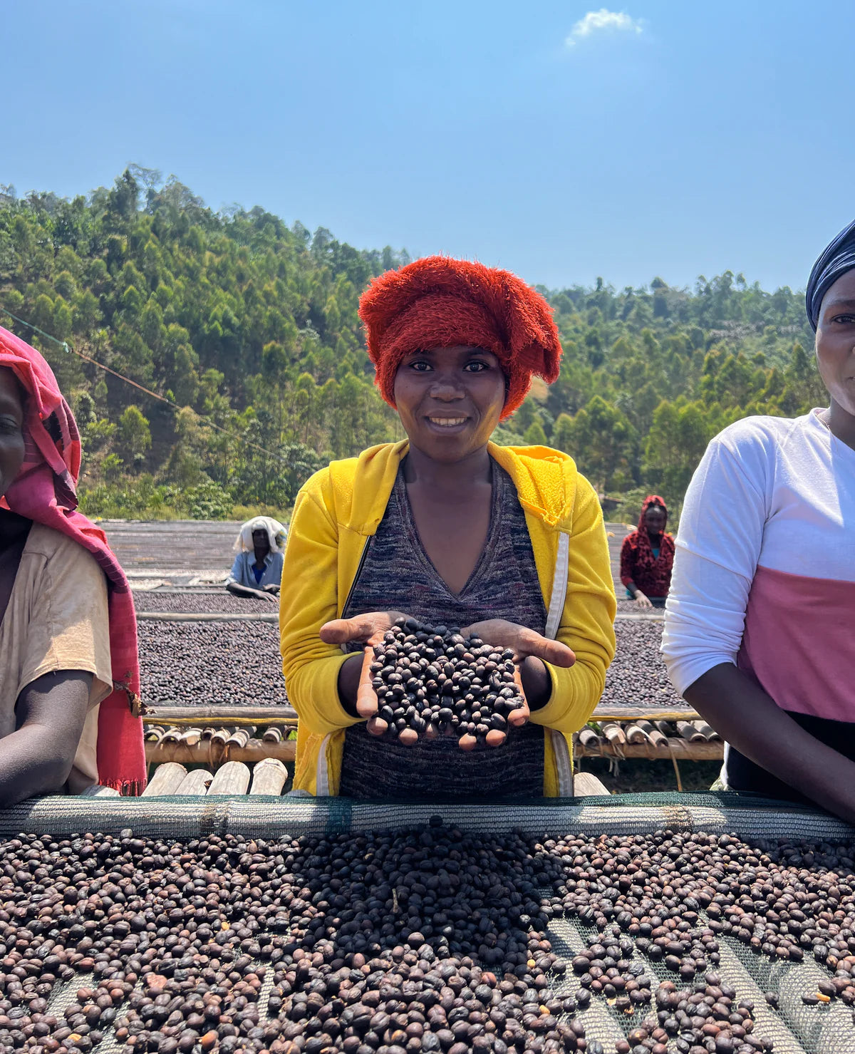 ETHIOPIA - AYLA BOMBE NATURAL (10 oz)