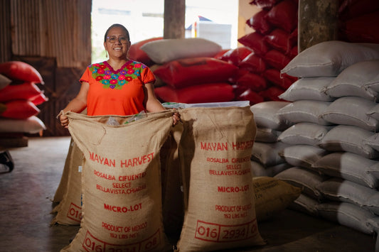 MEXICO CHIAPAS - MAYAN HARVEST WOMEN’S GROUP