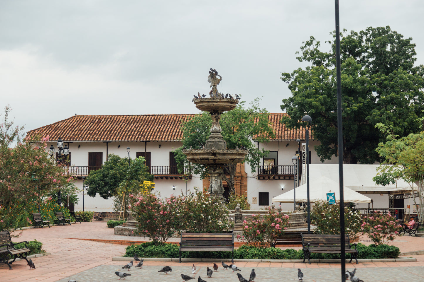 COLOMBIA - ARNULFO CARO CHIROSO