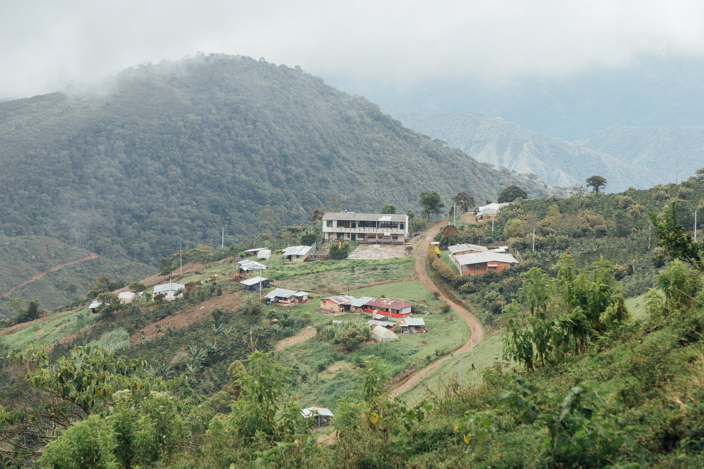 COLOMBIA - ARNULFO CARO CHIROSO