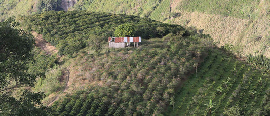 COLOMBIA - GRANJEROS DE HUILA